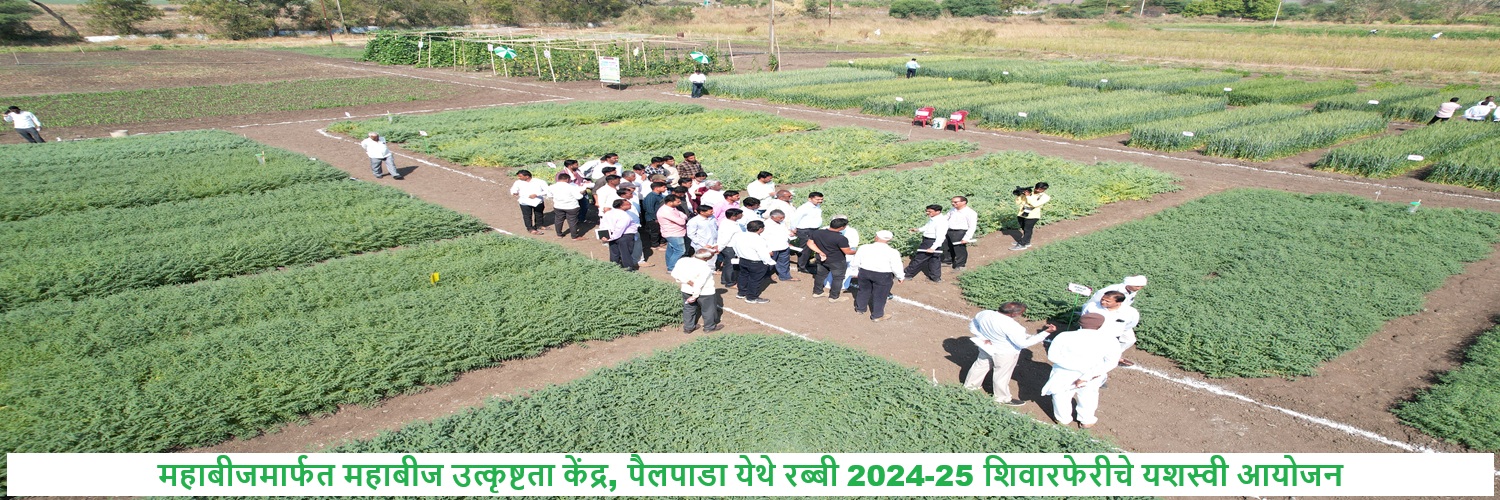 महाबीजमार्फत महाबीज उत्कृष्टता केंद्र, पैलपाडा येथे रब्बी 2024-25 शिवारफेरीचे यशस्वी आयोजन