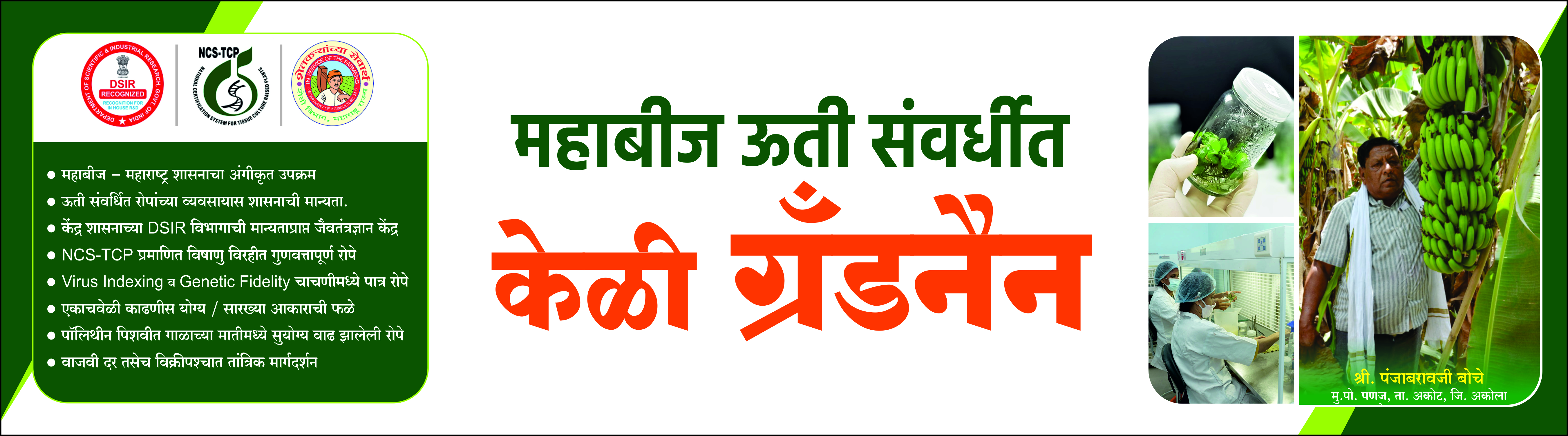 रोपवाटिका