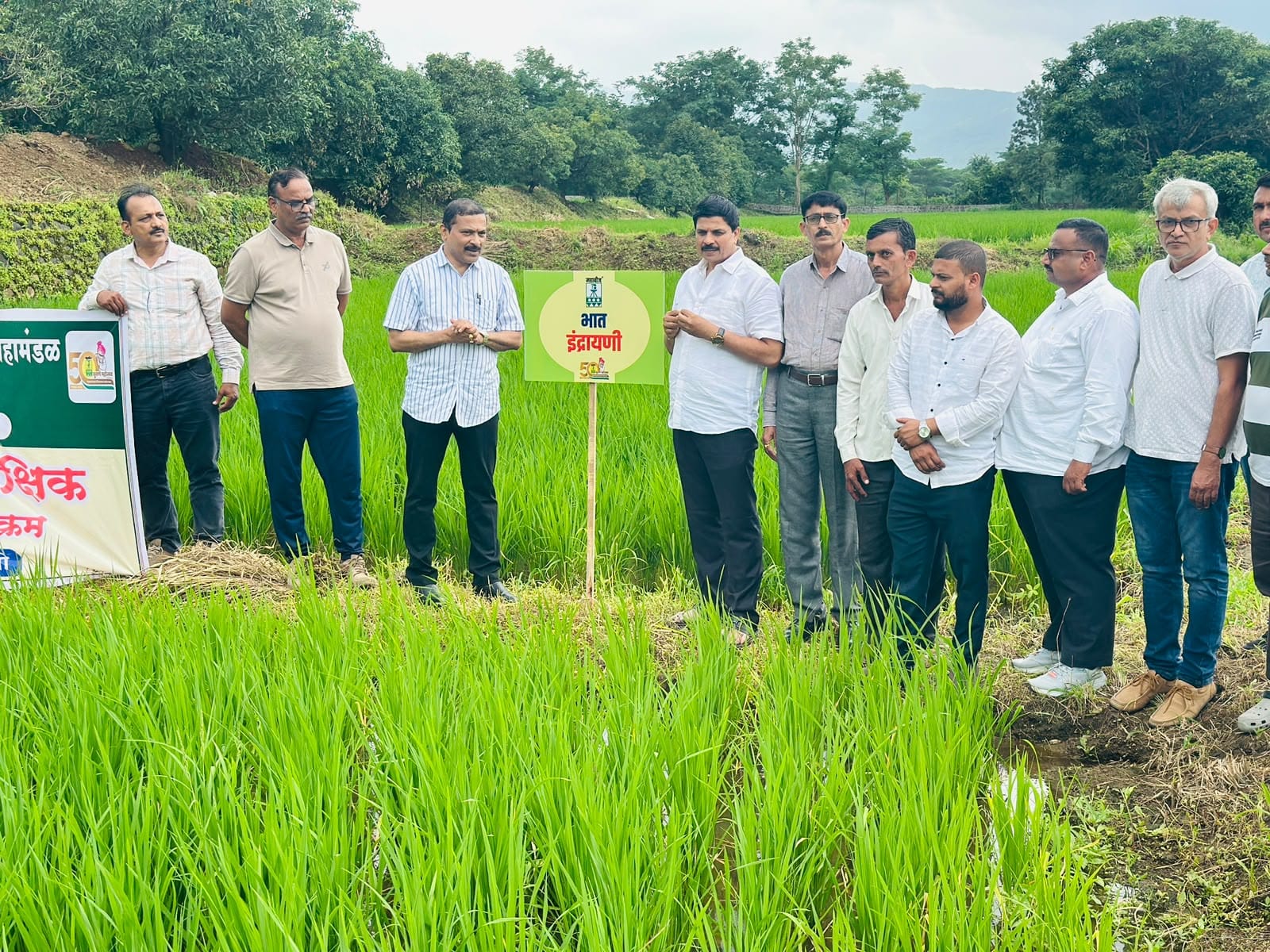 'इंद्रायणी' भात पिकासाठी क्षेत्रीय भेट आणि प्रात्यक्षिक कार्यक्रम ०८०९-२०२६